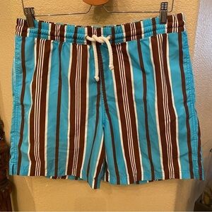 TAILORBYRD Men Blue Brown Striped Swim Trunk Shorts Size Medium